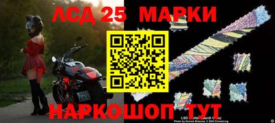 гидропоника Будённовск