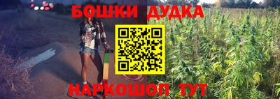 крисы Бузулук