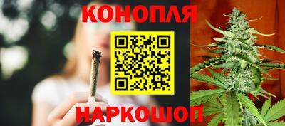 гидропоника Будённовск