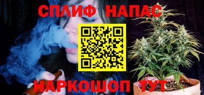 гидропоника Будённовск