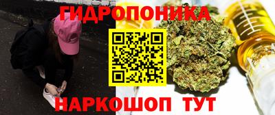 крисы Бузулук