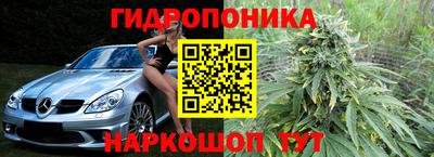 гидропоника Будённовск