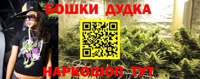 крисы Бузулук