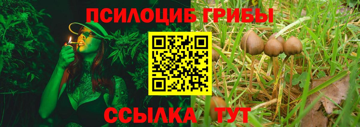 Псилоцибиновые грибы прущие грибы Россошь